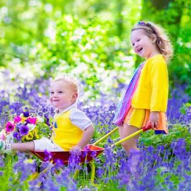 pediatric dentistry